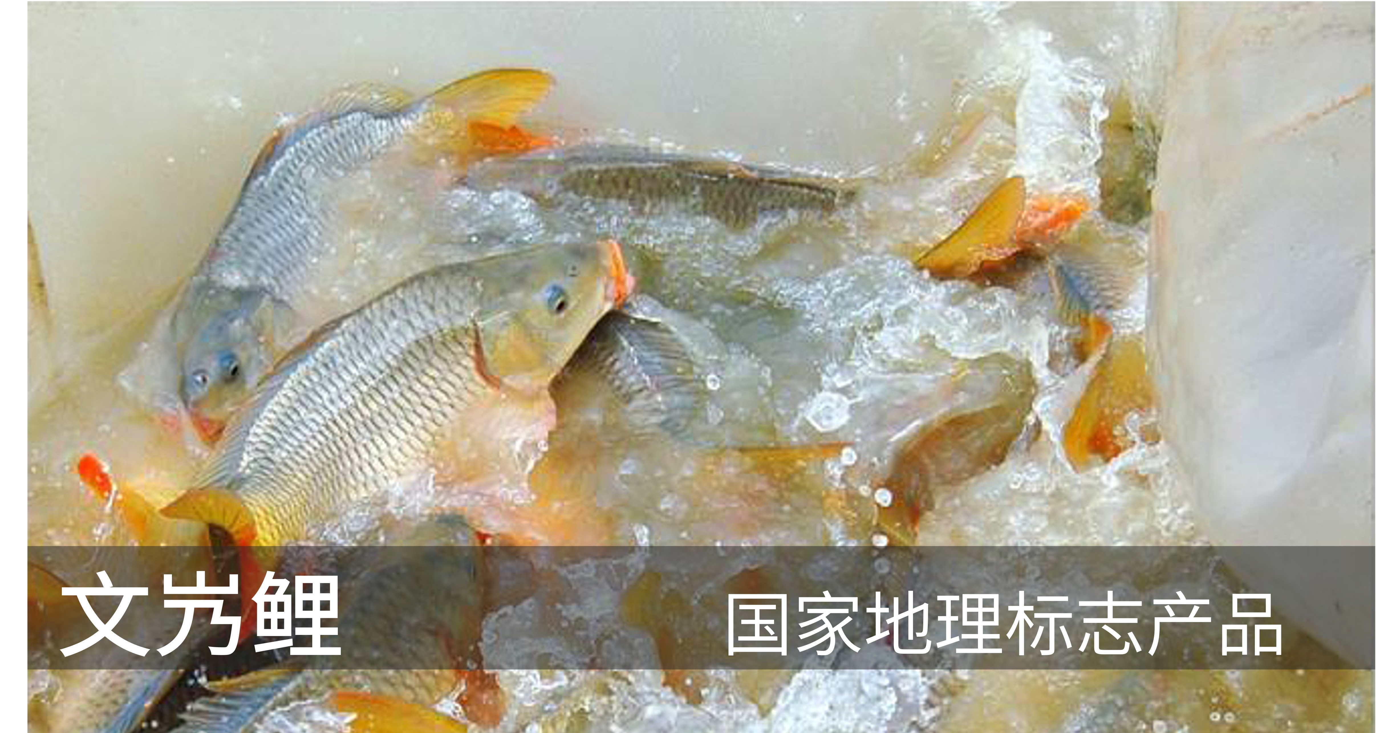 特色产品