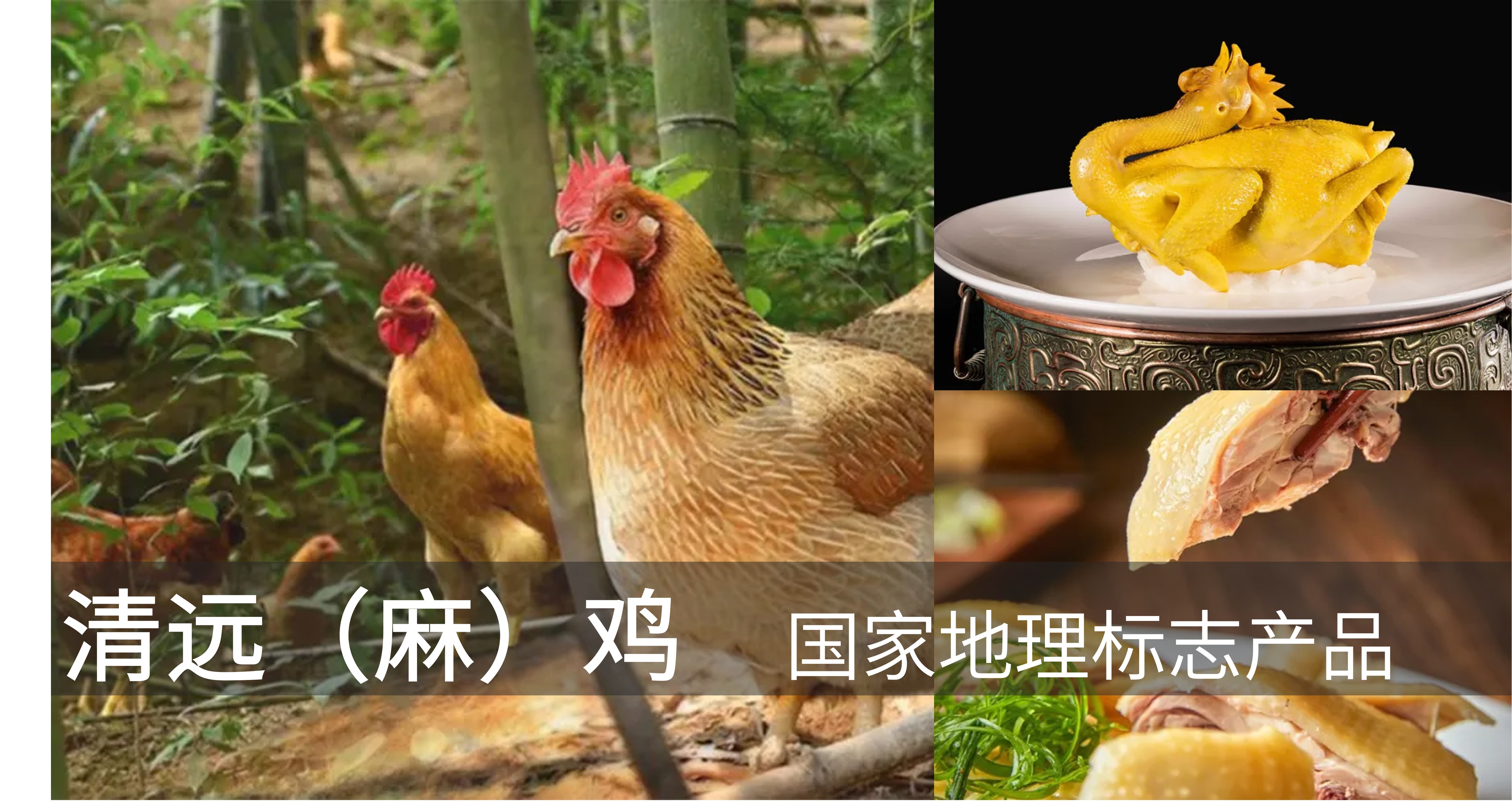 特色产品
