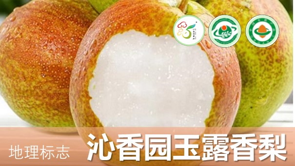 特色产品