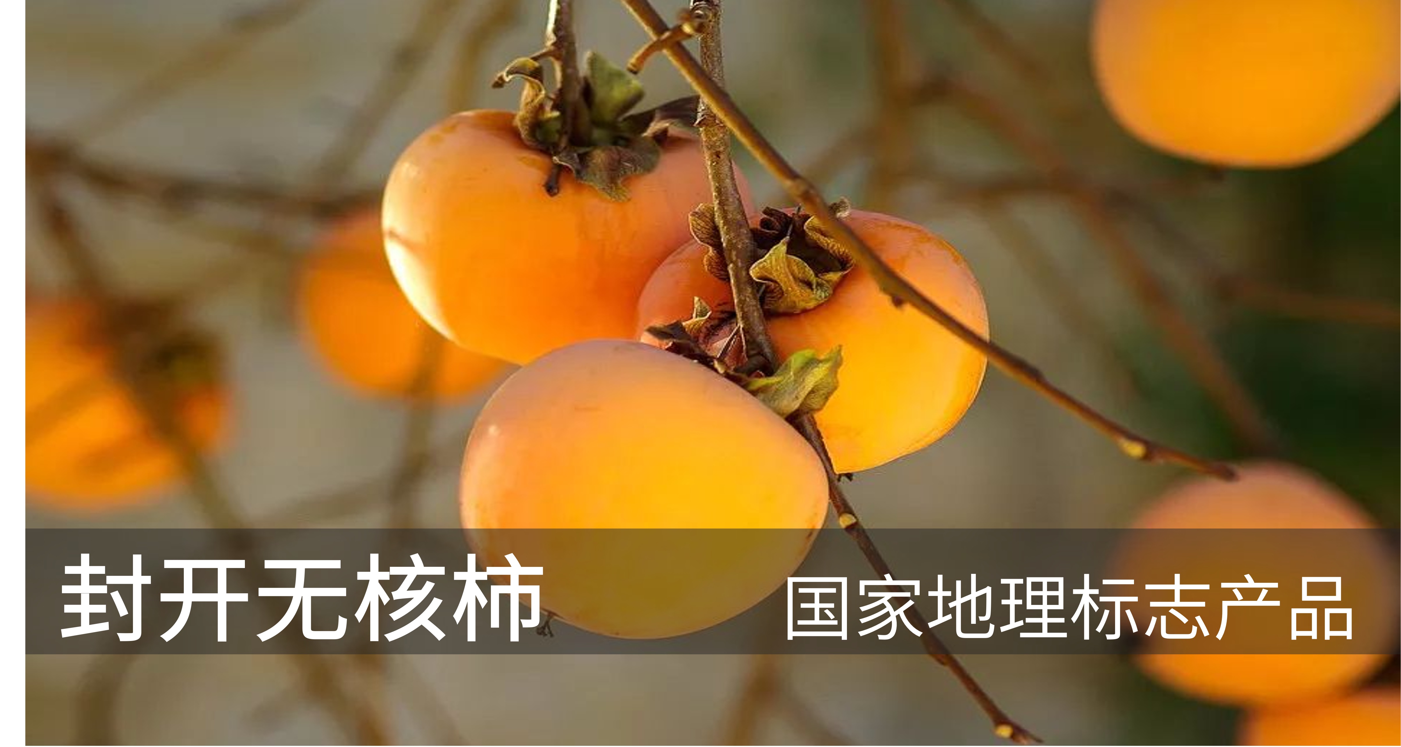 特色产品