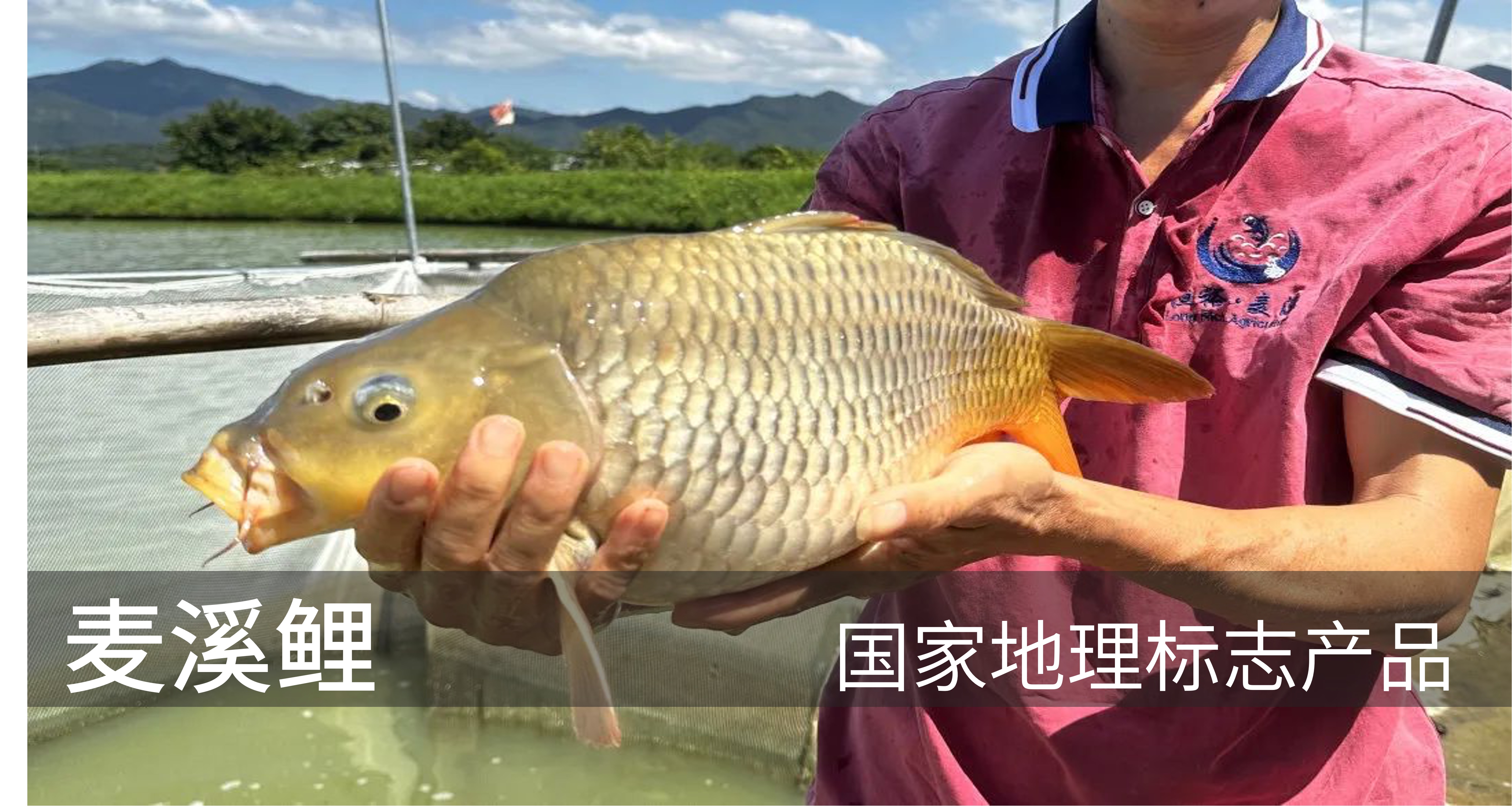 特色产品
