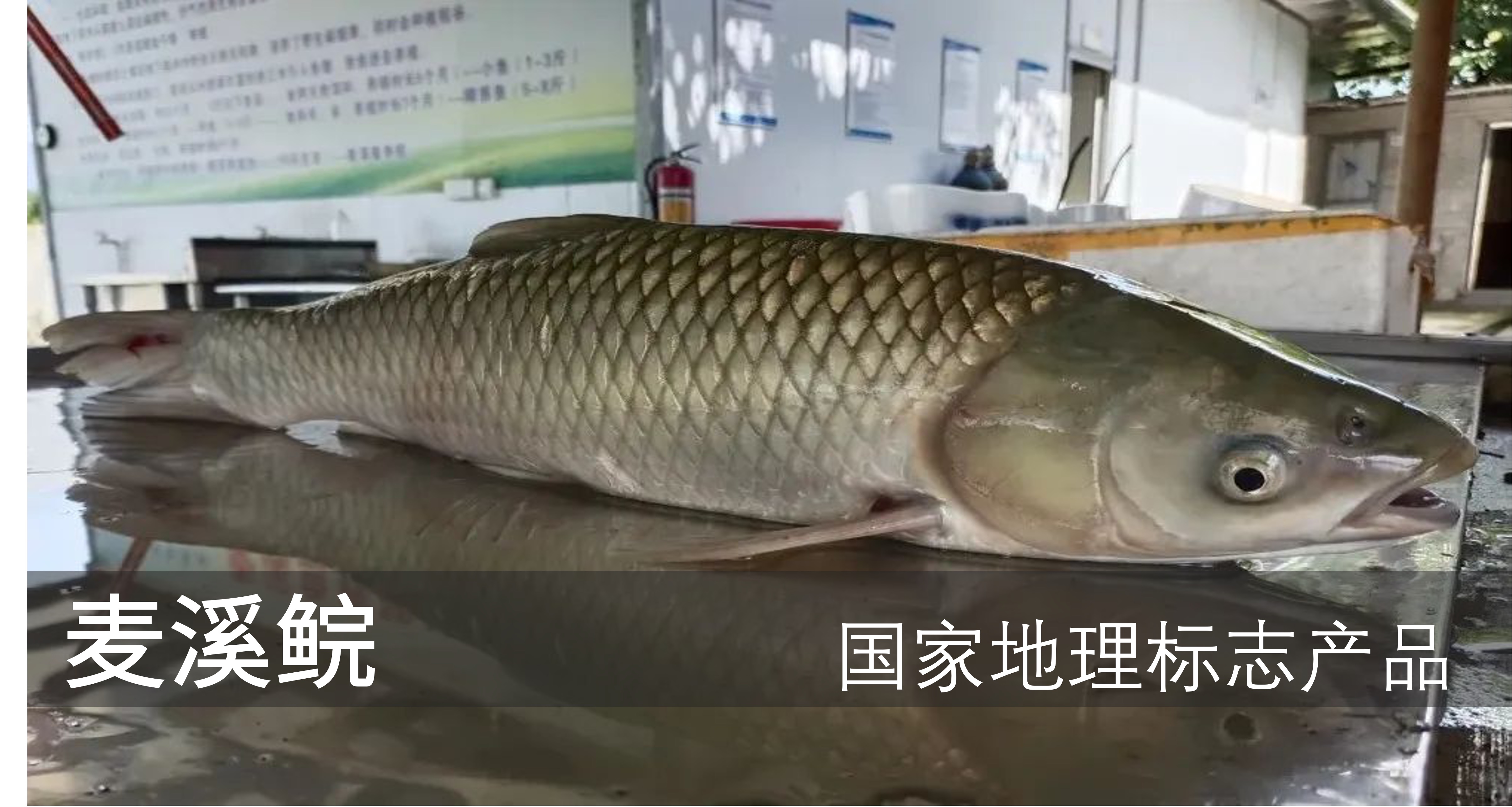特色产品